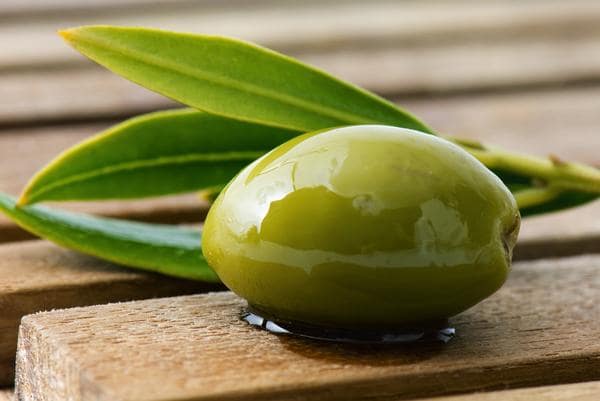 Lee más sobre el artículo Beneficios para la salud del Extracto de hoja de Olivo