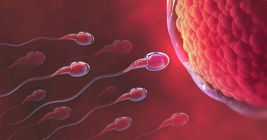 mitos y realidades sobre fertilidad