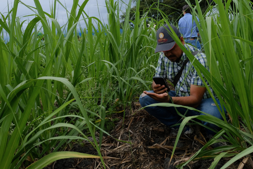 Seguridad sector azucarero