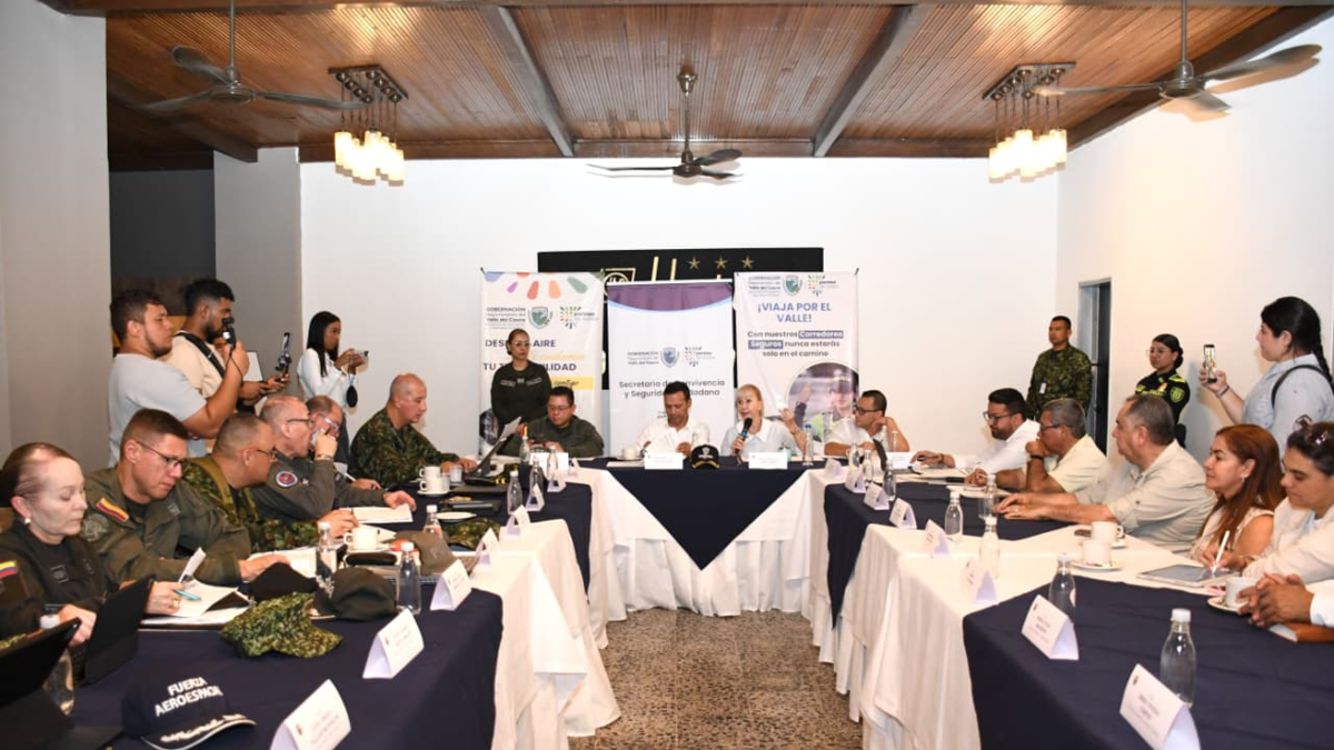 Seguridad Cartago Policía